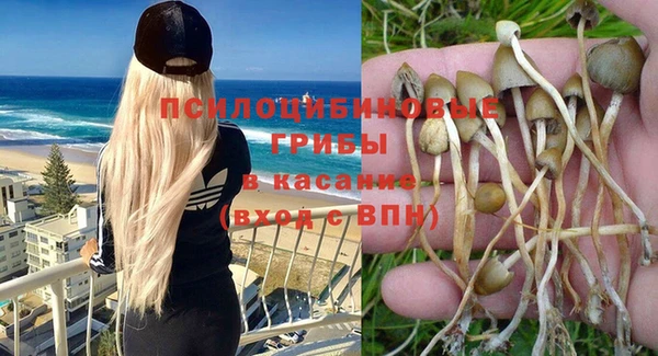 экстази Алексин